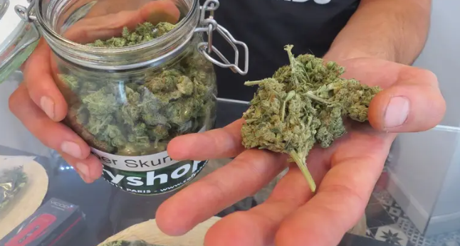 Comment choisir son CBD pour la première fois ? Comment choisir son CBD pour la première fois ?